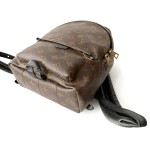 Louis Vuitton Palm Springs PM Backpack